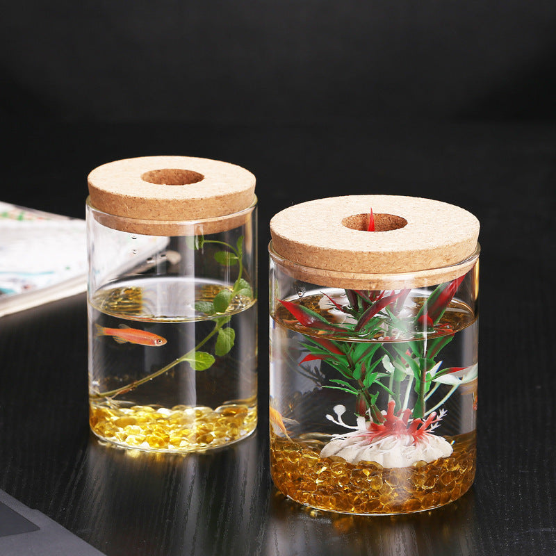 Aquarium à micro-paysage en bouteille écologique